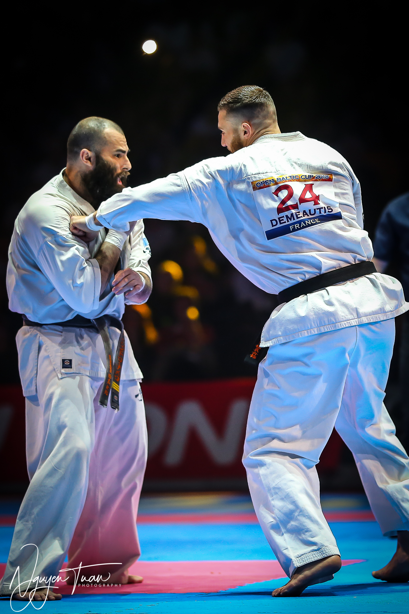 20190324 Festival des Arts Martiaux 6112